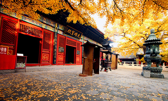 懷柔-穿軍裝/唱紅歌/嘗憶苦飯/聽紅色故事——體驗(yàn)一日